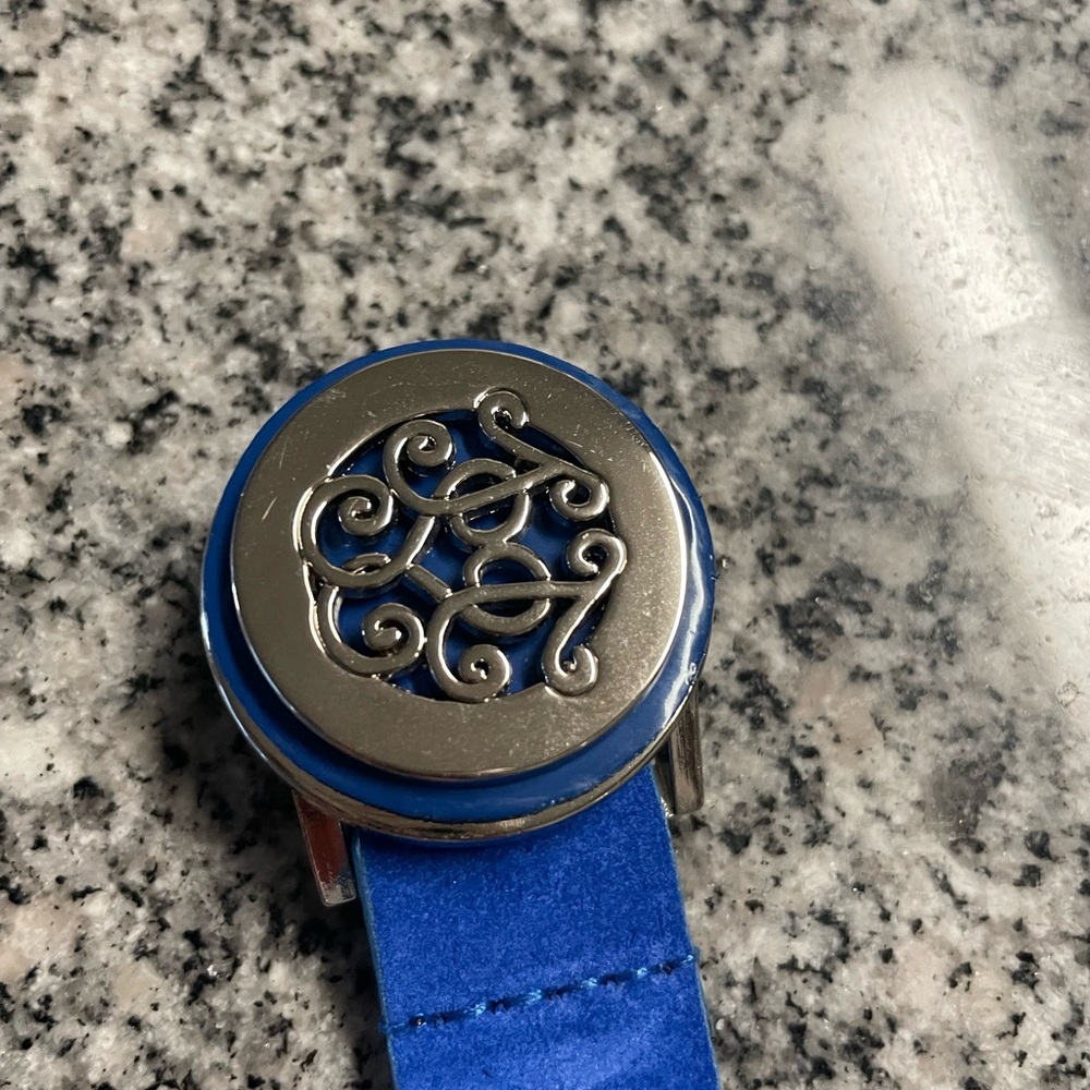 Blue and Silver Metallic Belt